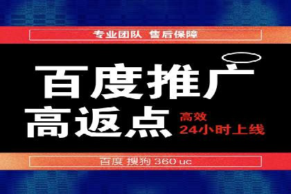 百度竞价推广运营实战技巧与经典案例剖析